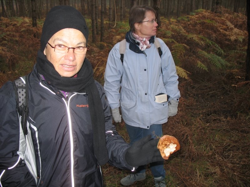 2006 11 Mycobocquet 02